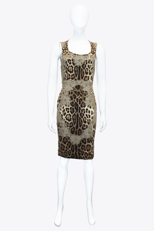 Dolce & Gabbana Brown Leopard Lace Dress