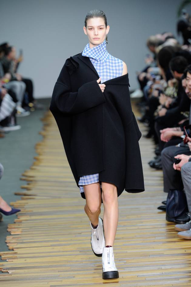 Celine 2014 Dress