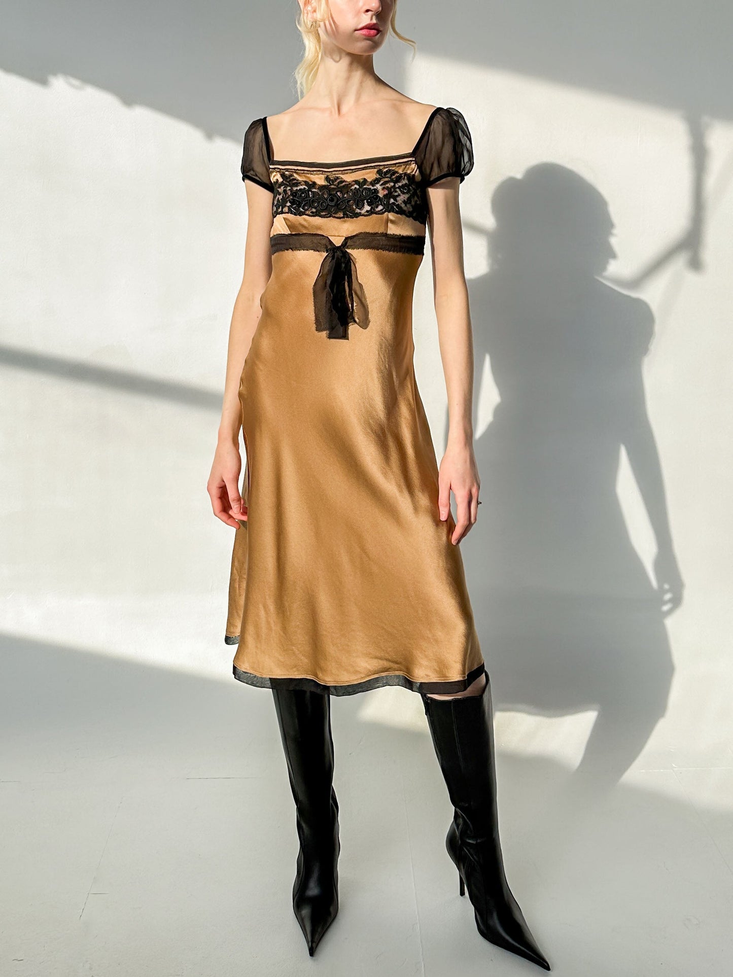 Alberta Ferretti Bronza Dress
