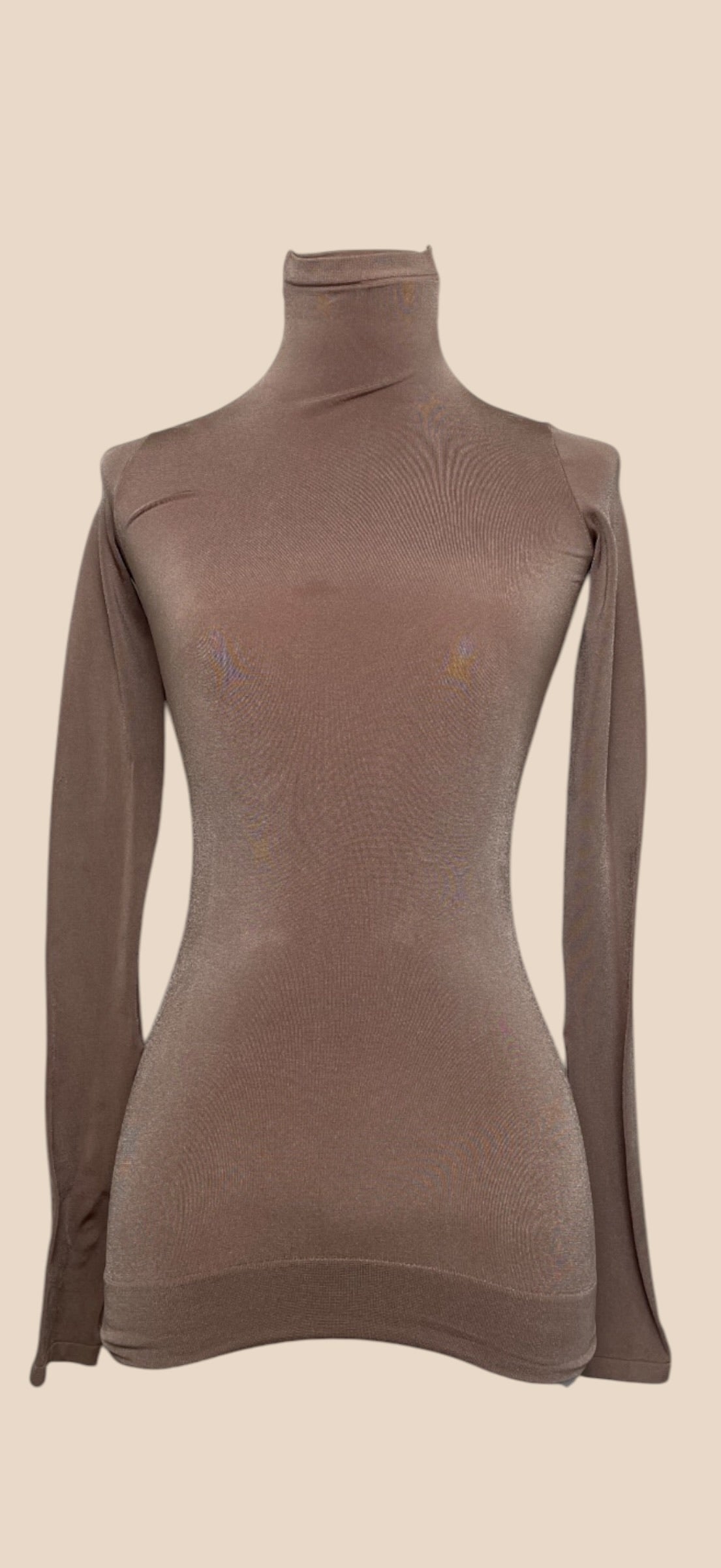 Balenciaga Taupe Fitted Turtleneck Long Sleeve Top