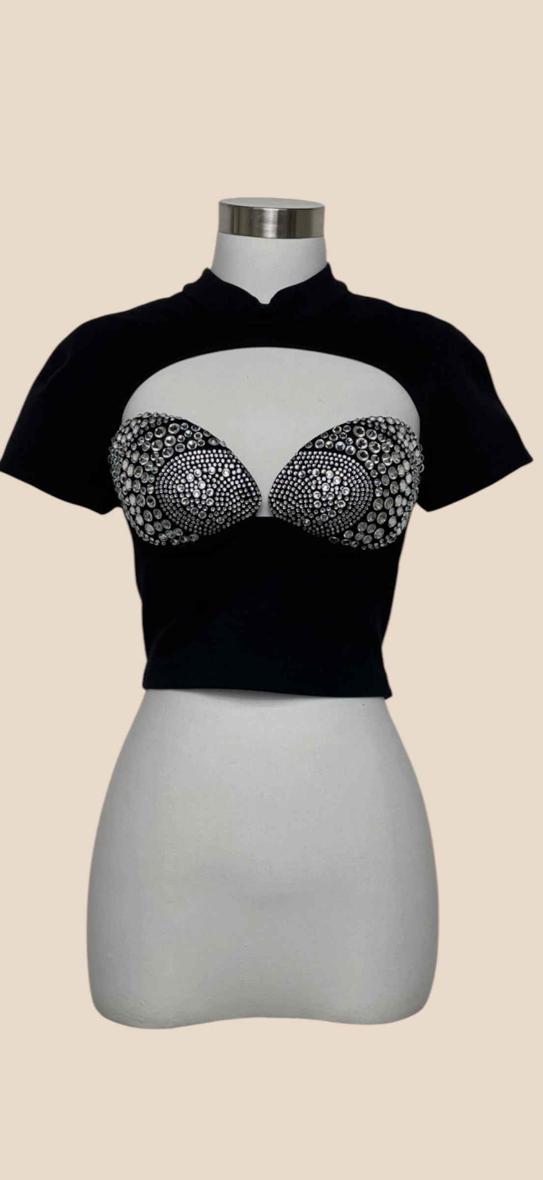Area Black Crystal Embellished Cutout Crop Top
