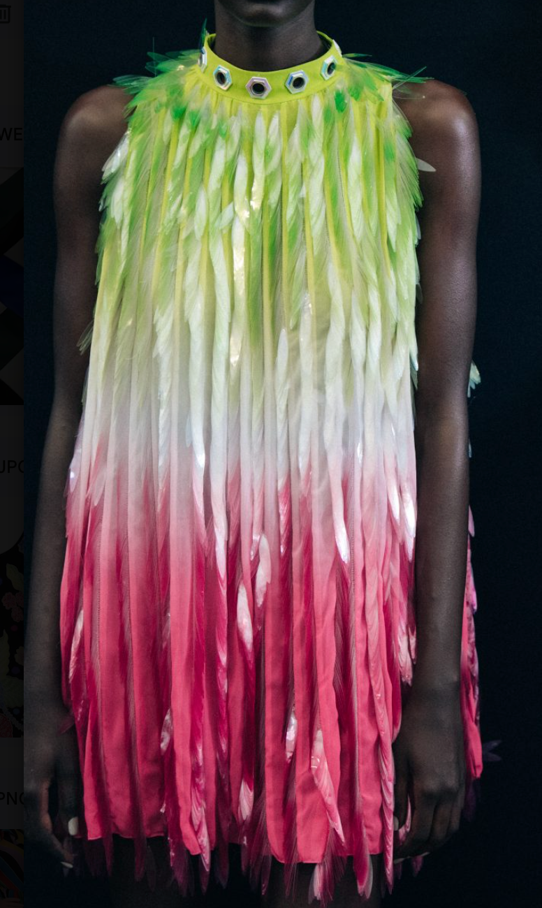 Byblos Dress