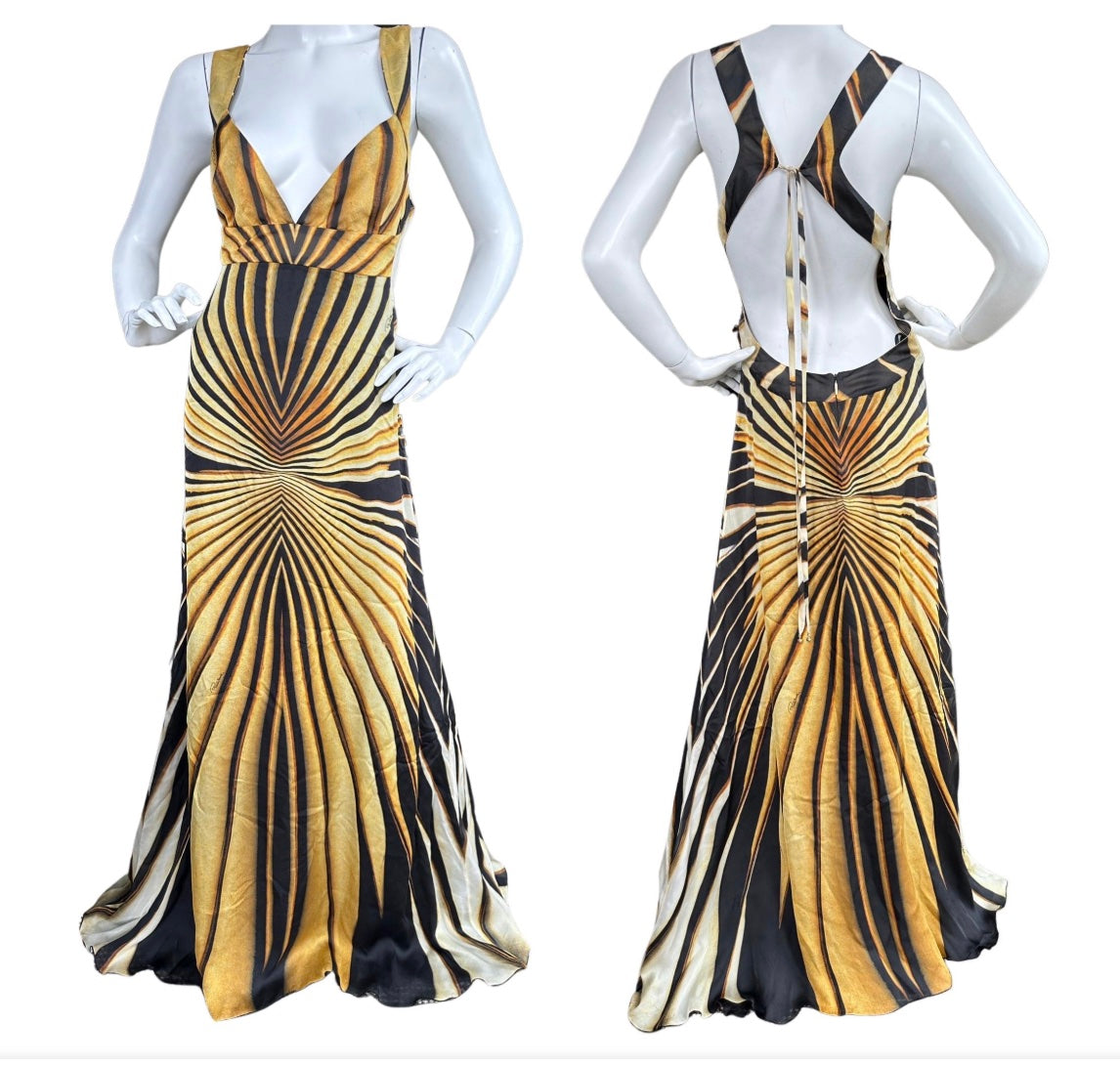 Roberto Cavalli Gown
