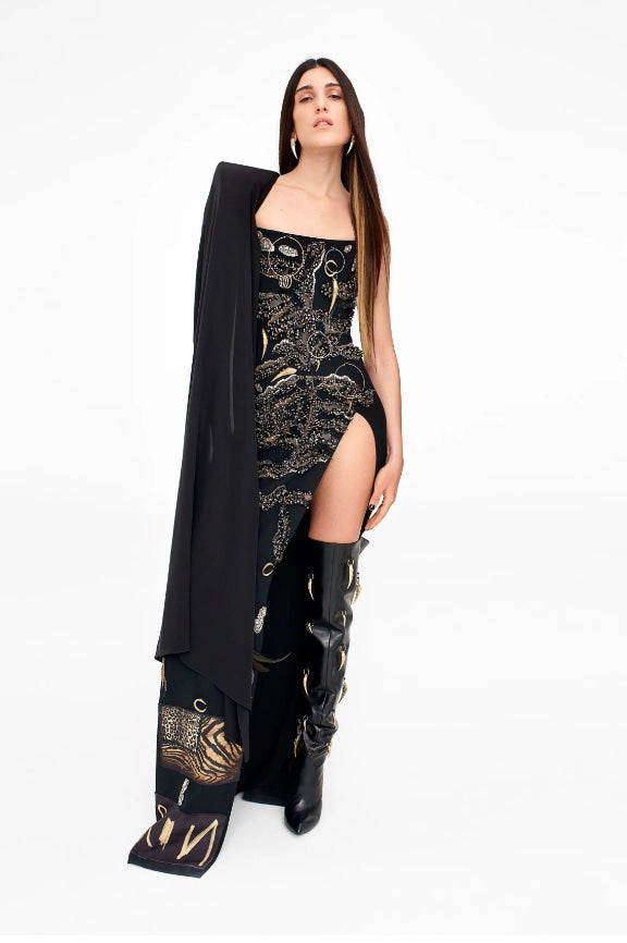 Roberto Cavalli Gown